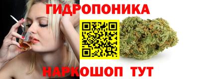 эйфоретик Коммунар