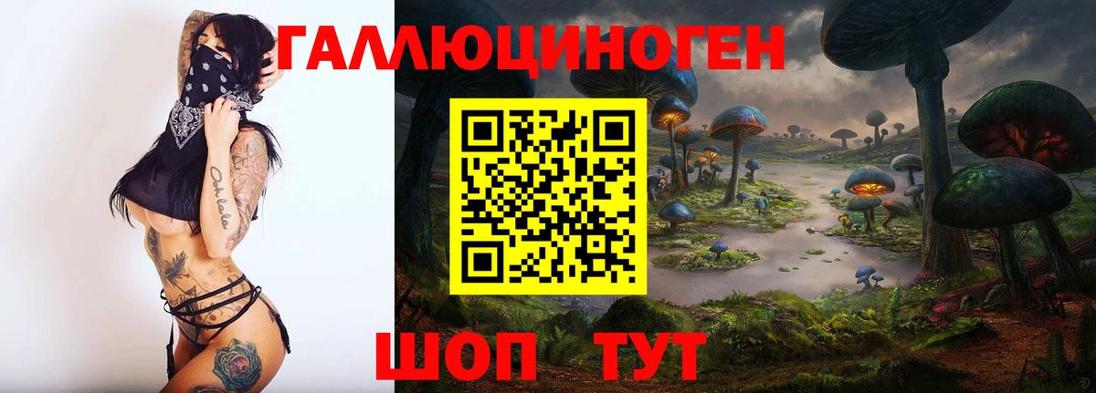 Псилоцибиновые грибы Psilocybine cubensis  закладка  Вход с VPN  Касимов  Псилоцибиновые грибы мухоморы 